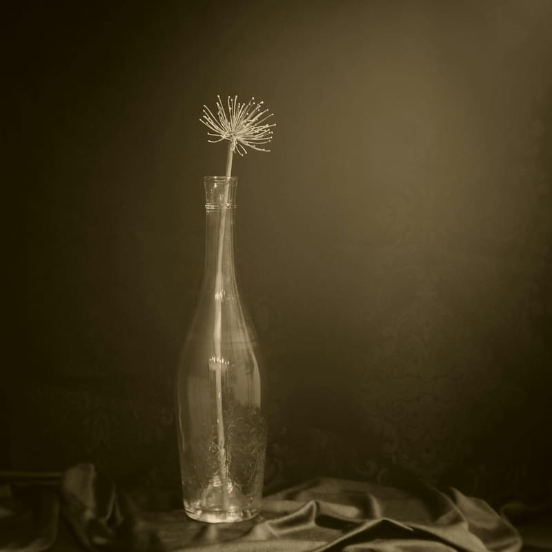 Chablis 2022